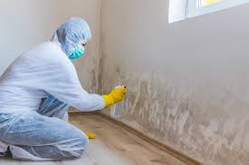 Best Basement Mold Removal  in Cloverdale, CA